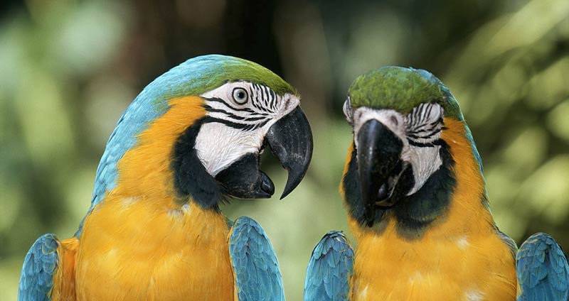 با شخص موردنظر صحبت کنید