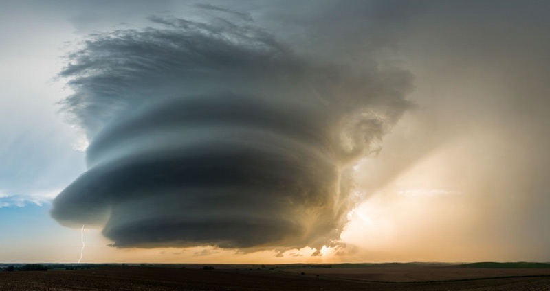 ضعفها و قوتها - استراتژی کسب و کار