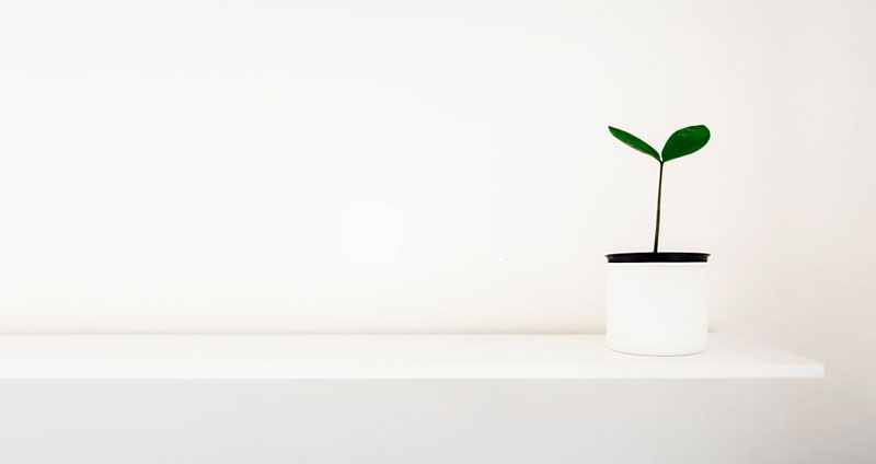 سادگی یک اصل است، خلاقیت یک ابزار - استارتاپ