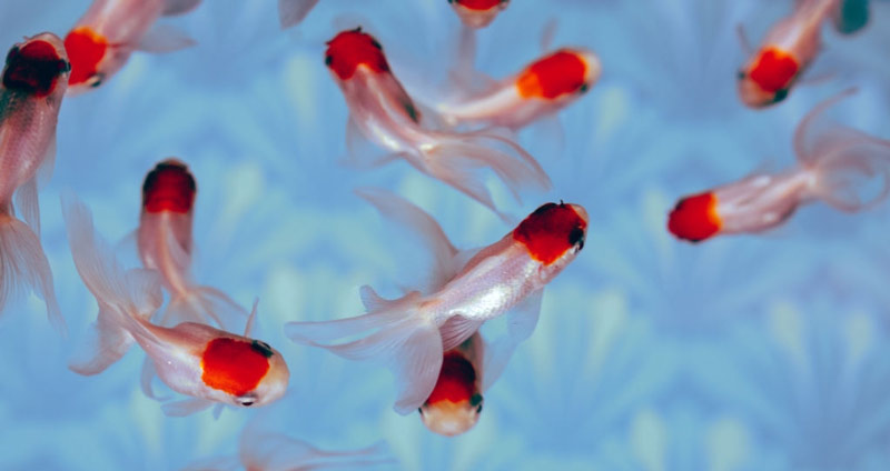 دوستانه و پر‌انرژی بودن - كارمند نمونه