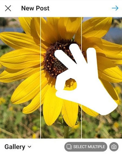 برش تصاویر برای پست گذاشتن در اینستاگرام