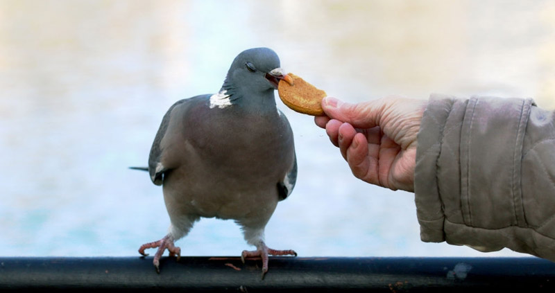 یکی از فواید سوال پرسیدن این است اعتماد را در روابط بهبود میدهد