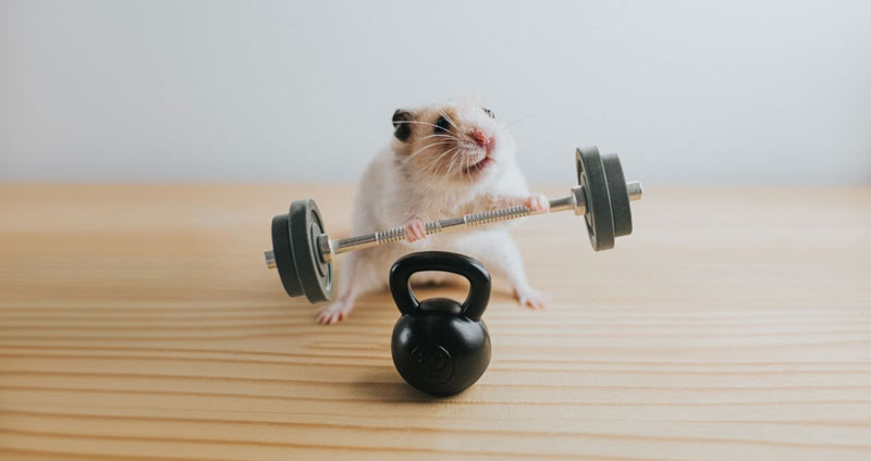 چگونه توانایی شناختی را بهبود ببخشیم