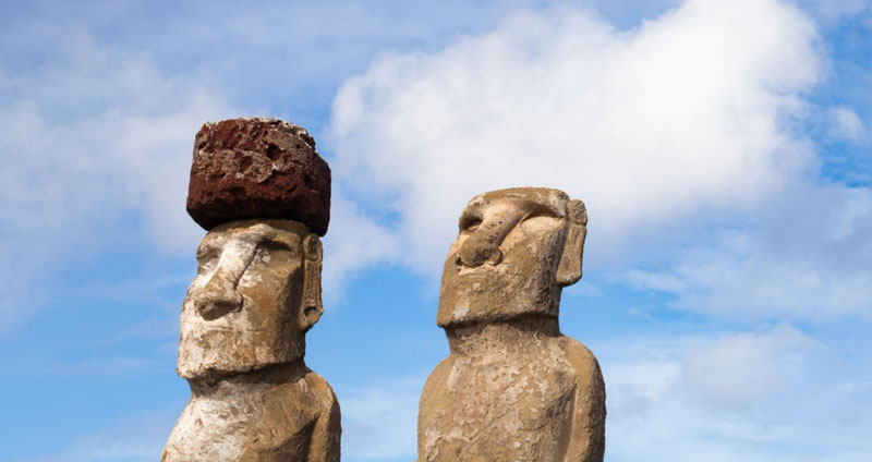 گزینه های خود را مقایسه کنید