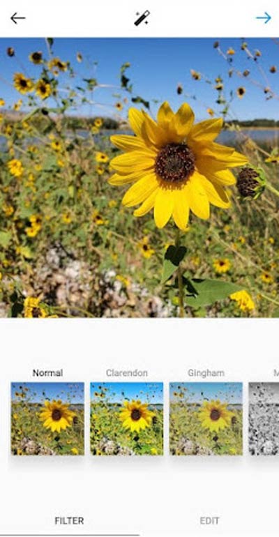 چگونه در اینستا پست بگذاریم - انتخاب فیلتر
