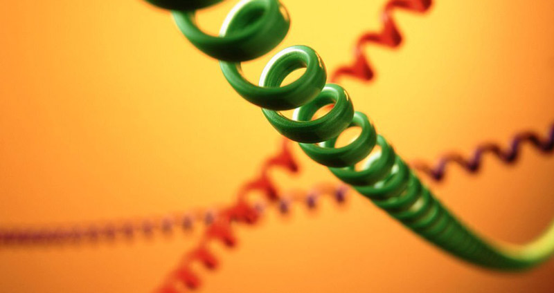 انواع بازاریابی تلفنی چیست؟