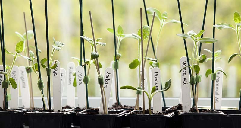 طرحی را برای رشد و توسعه کارمندان در نظر بگیرید