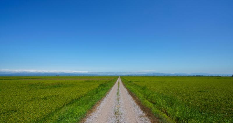 مسیرهای شغلی را بررسی کنید