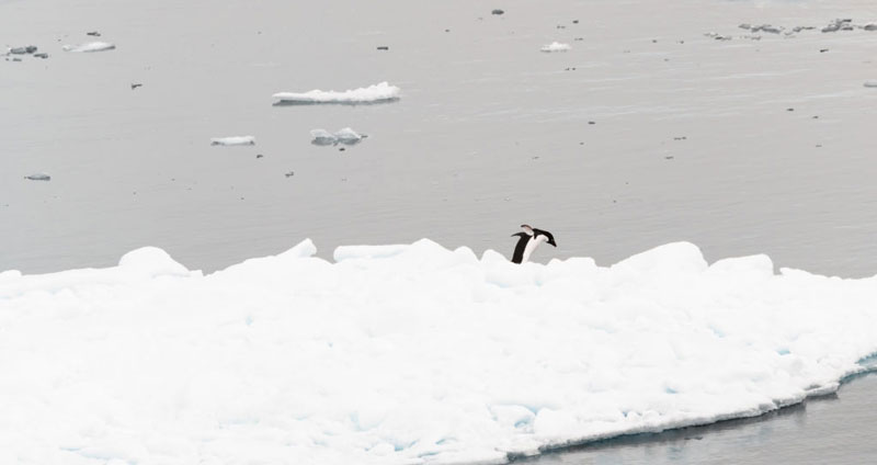 مدیریت ریسک کسبوکار