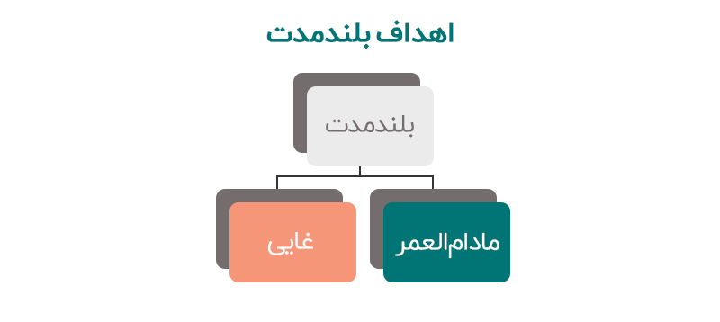 انواع هدف: اهداف بلندمدت