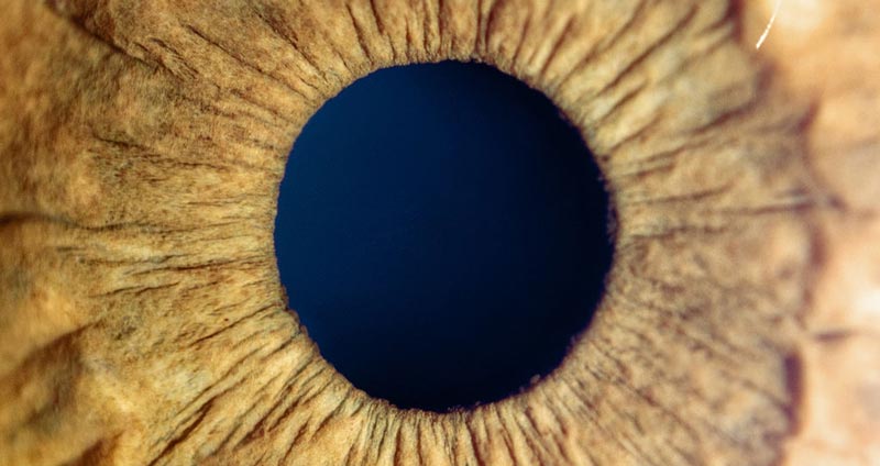 بر موفقیتهای خود تمرکز کنید - اعتماد به نفس