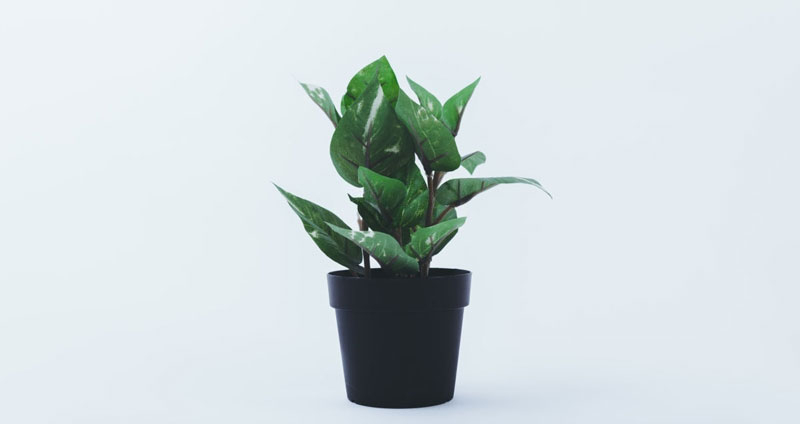 پیادهسازی هرم مازلو در محیط کار