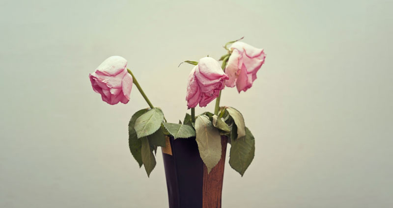 افراد دارای  اعتیاد به کار به سرعت از آدم های اطراف خود ناراحت می شوید