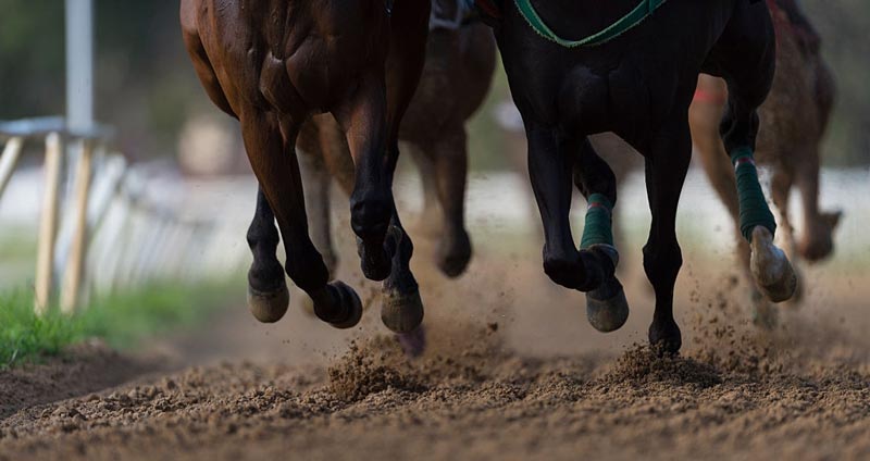 درمان کمال گرایی - به چالش کشیدن خودانتقادی درونی