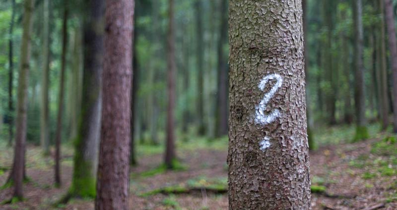 سؤالات درستی را مطرح کنید - میانجی‌گری