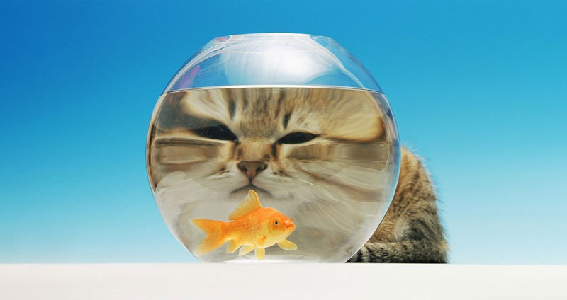 مثالی از تکنیک CATWOE