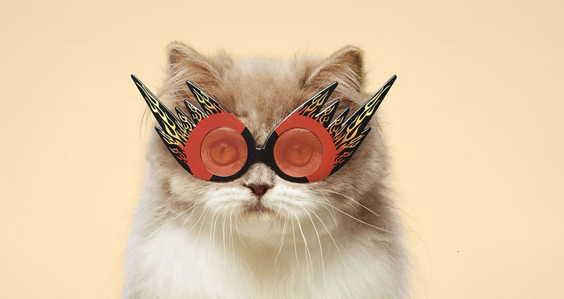 کاریزما چیست - افراد کاریزماتیک اعتمادبهنفس را القا میکنند