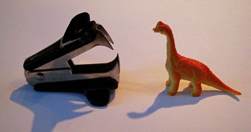 اقتدار من را زیر سؤال میبرید؟