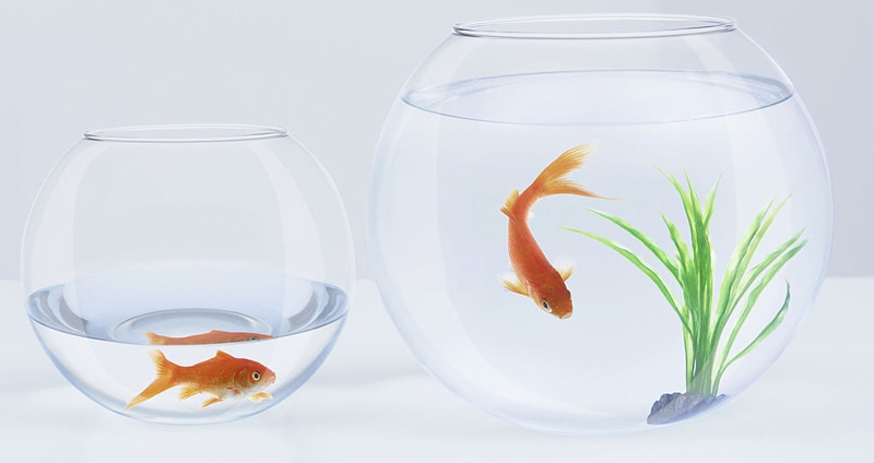 مقایسه‌ی راهبرد استارت آپ ناب و راهبردهای سنتی