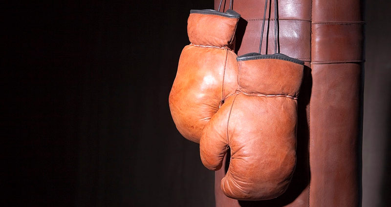 با ستیز و گریز پاسخ دهید