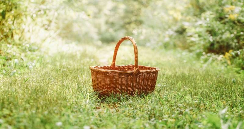 چگونه مخزن استعداد را گردآوری و نگهداری کنیم؟