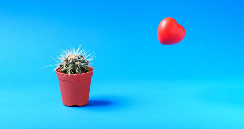 خطرات رابطه عاشقانه در محل کار