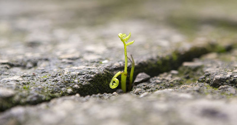 به شغلتان فرصت بدهید