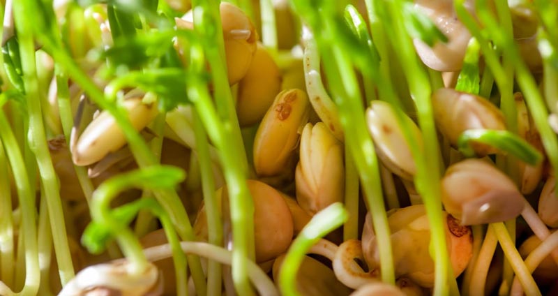 چطور کارآموز خوبی باشید - منتور