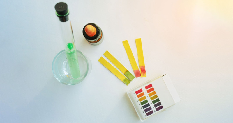 تفسیر تست هالند