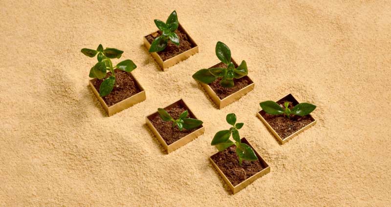 چگونه فرضیات پروژه را مدیریت کنیم