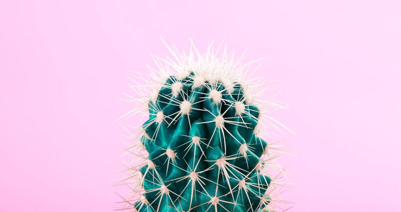 اهمیت احساسات در مذاکره