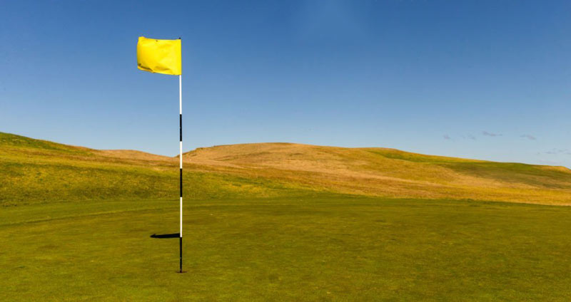 سینرژی در چه زمینههایی محقق میشود؟