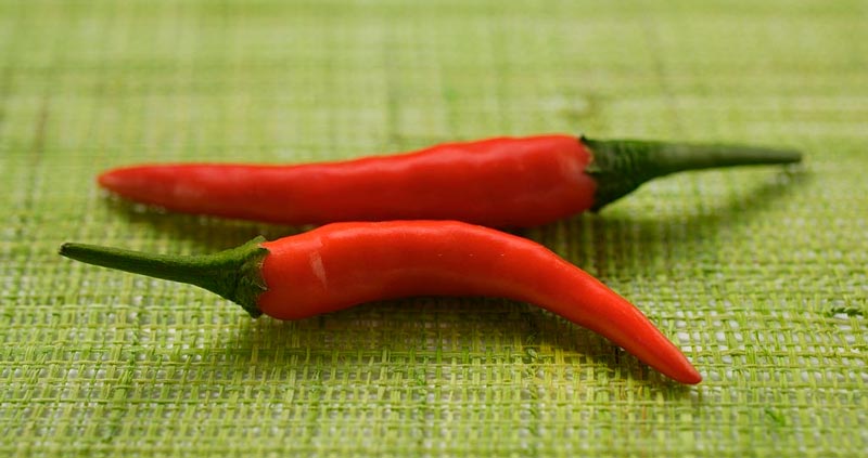 با قویترین ویژگیهای خود شروع کنید- اهداف شغلی در رزومه