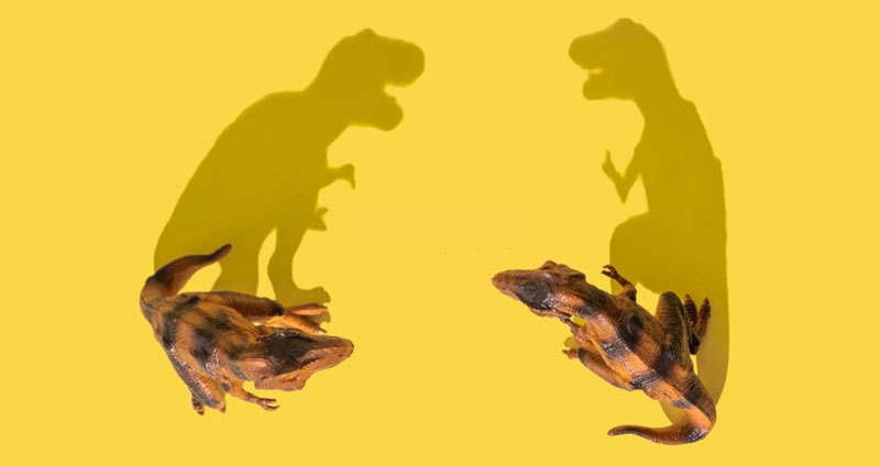 درگیریهای ناعادلانه