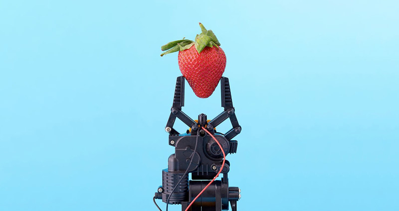 ماشین لرنینگ - نحوهی انتخاب مدل یادگیری ماشینی مناسب چیست؟