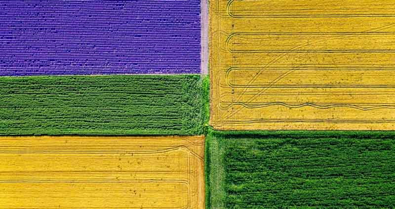 وظایف را دسته‌بندی کنید- دسته بندی زمان