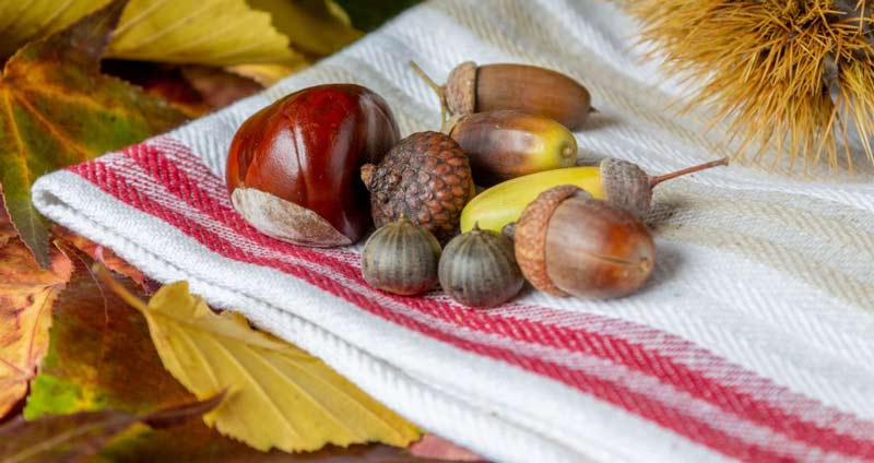 ذخیرهی مالی داشته باشید