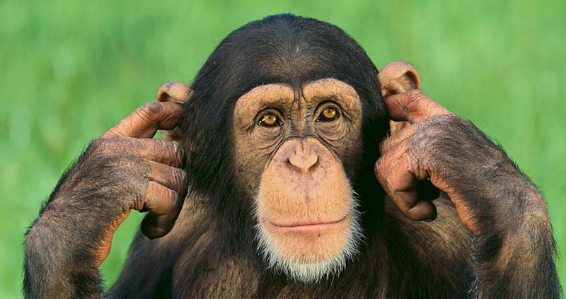 نادیده گرفتن نیازهای شما