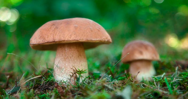 چرا پرورش خودشناسی مهم است؟