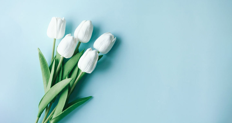 در عذرخواهی میانهرو باشید - انتقاد در محل كار