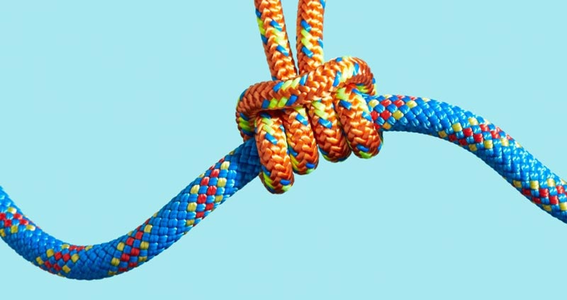 نمونههای از همکاری در محیط کار