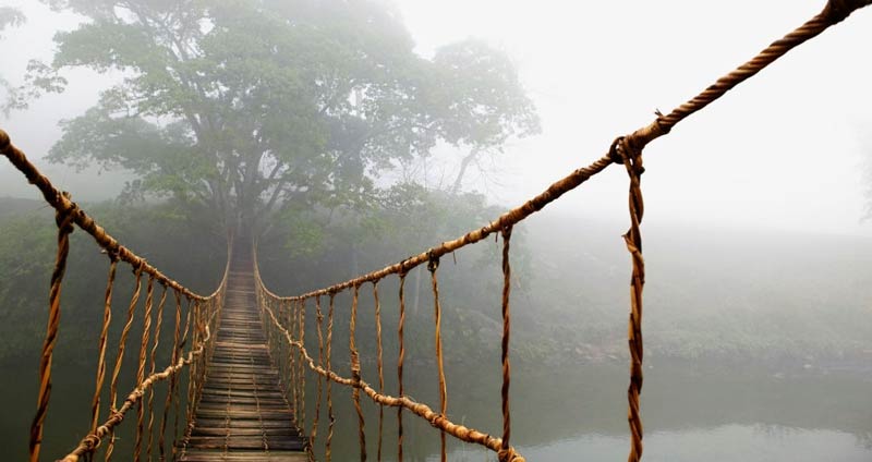 عناصر اصلی ارتباط موثر - واسطه