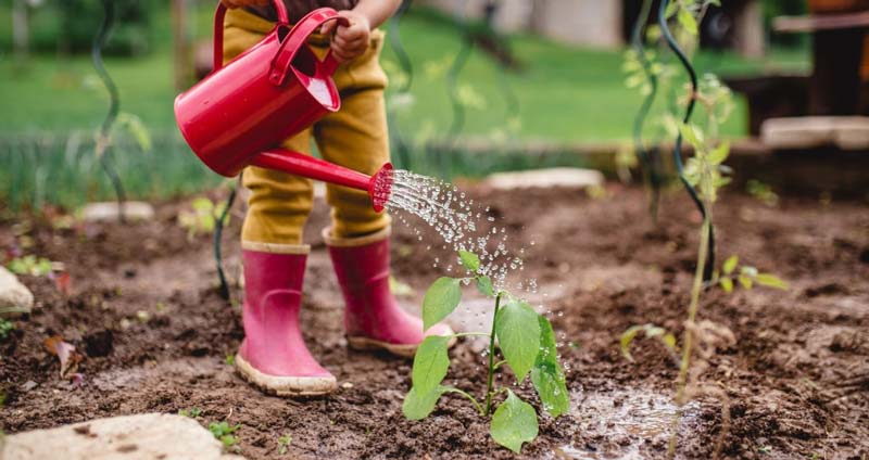 کار تیمی و حل مسئله - کمک به رشد دیگران