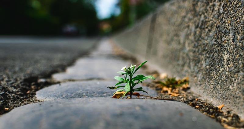 هدف متدولوژی استارت آپ ناب چیست؟