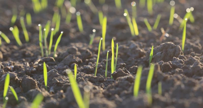 نحوهی عملکرد Deep Learning چیست؟