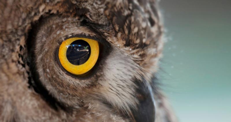 ۱۵ مثال از کاربرد یادگیری عمیق