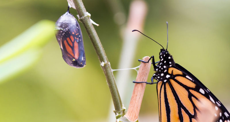 ۱۰ اصل مدیریت تغییر موفق