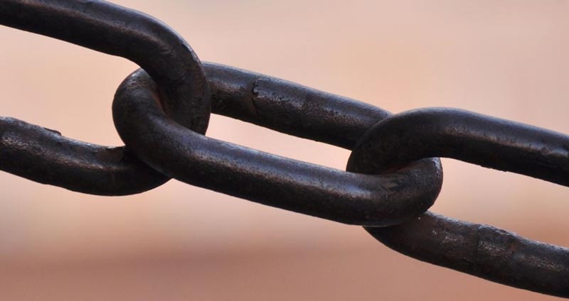 انواع سبک های مدیریتی - پیونددهنده (Affiliative)