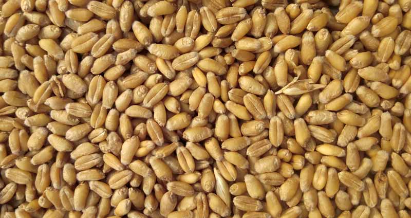 دستیابی به دانش، فقط نقطه آغاز است - مدیریت دانش