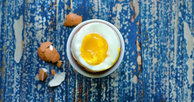 تخممرغ- مواد غذایی برای افزایش بهره وری